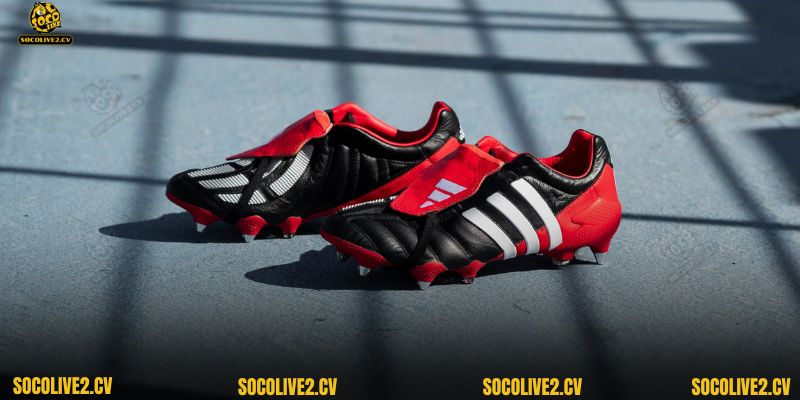 Adidas Predator là một trong những đôi giày mang tính biểu tượng của bóng đá thế giới