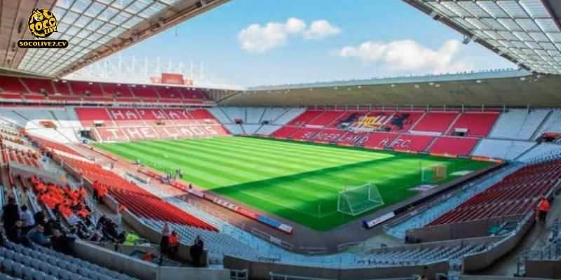 Nhận định Sunderland vs Brighton 22h00 14/03: Chảo lửa Ánh Sáng sẵn sàng thắp lửa đam mê